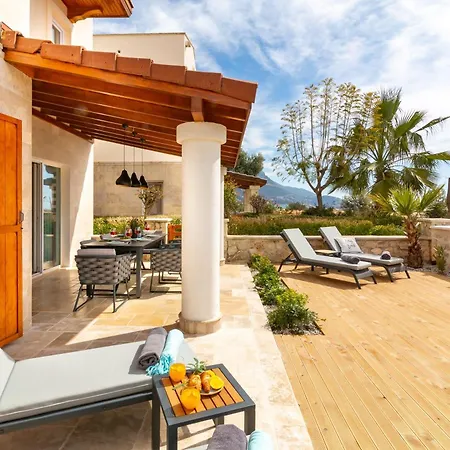 Leyla فيلة كاس